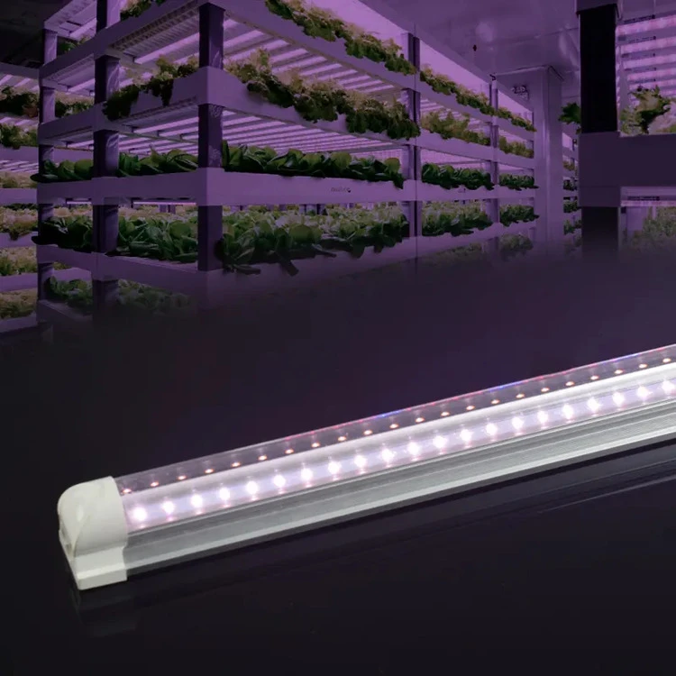 Mushroom House Plants Tube Light Mushroom House Plants Tube Light