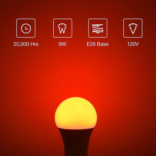 red light bulb detail1 red light bulb detail1