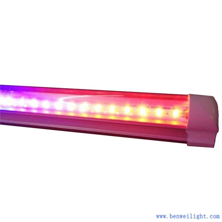 led grow lights for indoor plants
