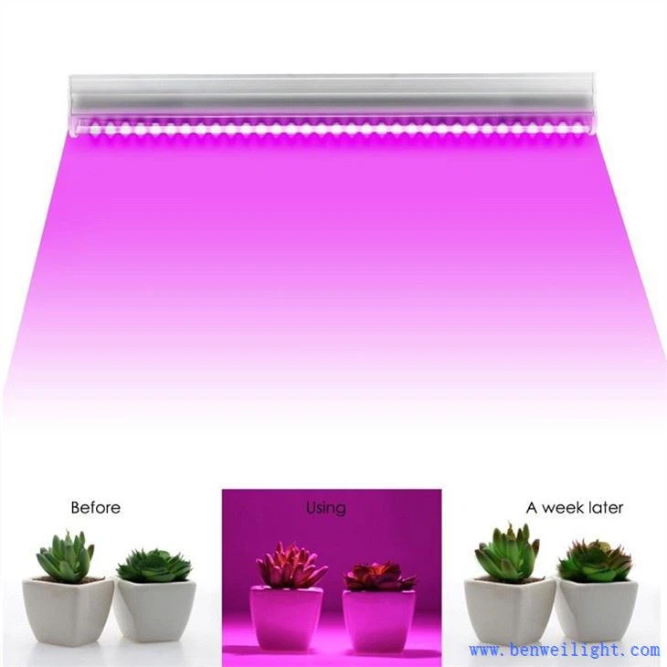uv b grow light