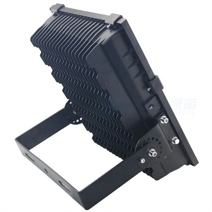 Motion Activated Security Light