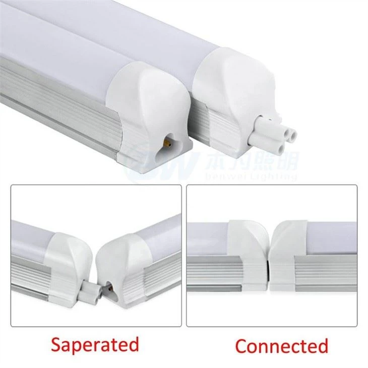 Camper Lights