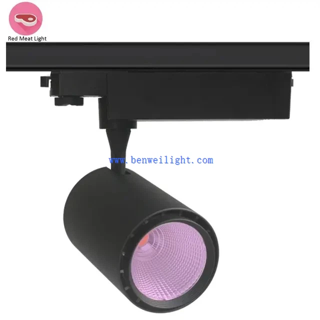 Светильники для свежего мяса