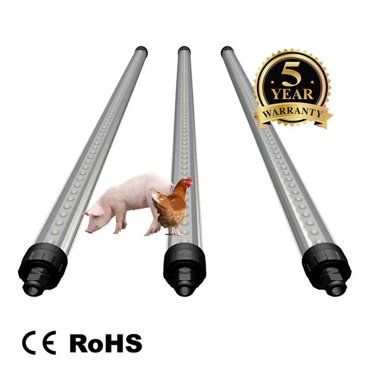 pig house Chicken Tube Light