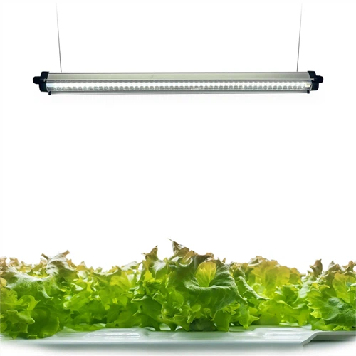 50w LED Grow Lights For Indoor Plants high quality