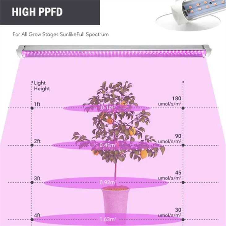 Best Grow Lights For Indoor Plants Best Grow Lights For Indoor Plants