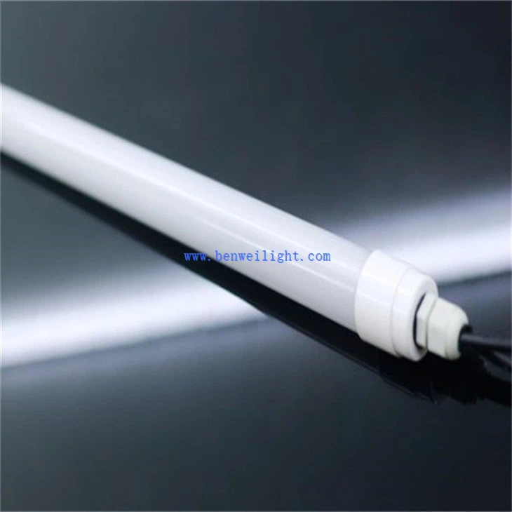 Clucker Coop Light (1)