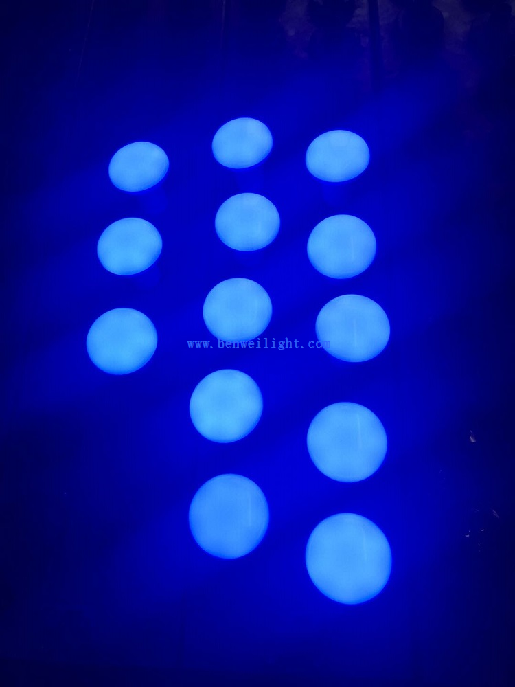 Blue R63 4W LED Poultry Bulb 1 Blue R63 4W LED Poultry Bulb 1