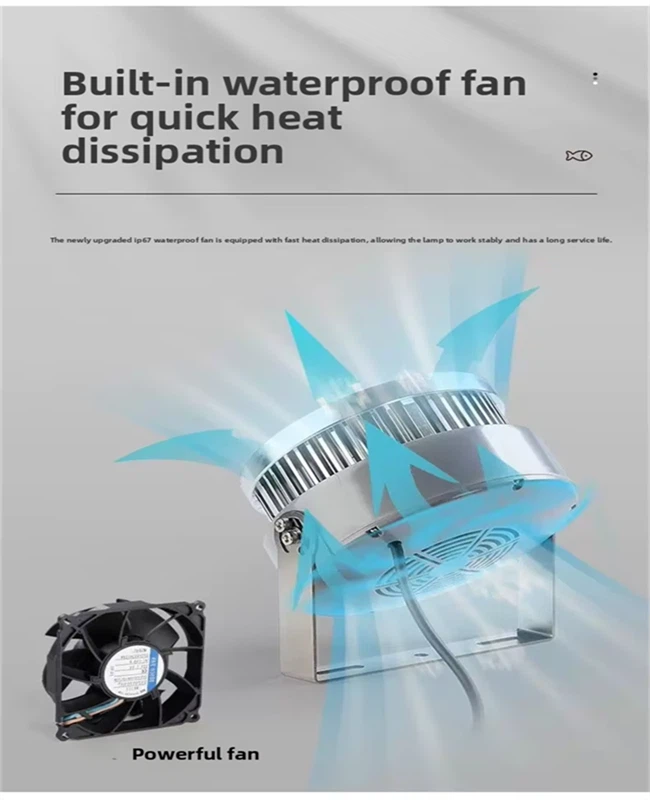 product-650-800