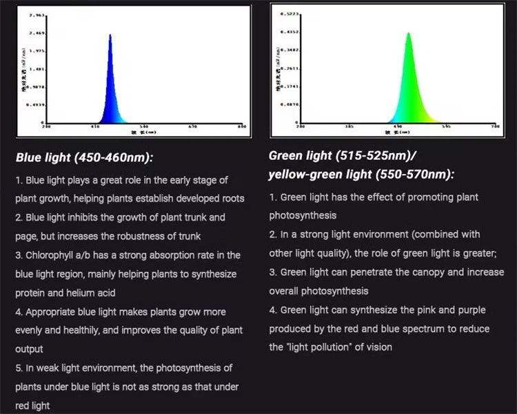 product-750-600 product-750-600