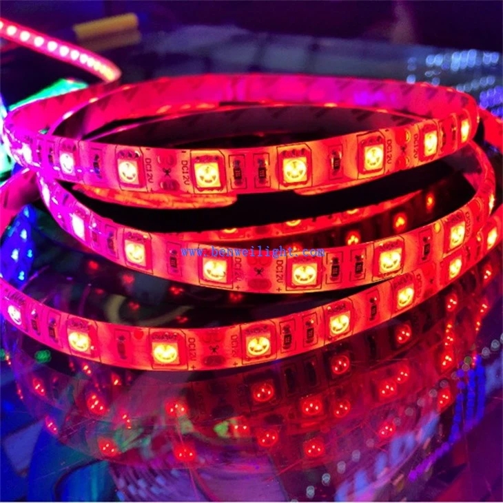 SMD5050 Flexible Rope Light (4)